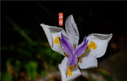 微信朋友圈心情句子(朋友圈说说心情短句子)