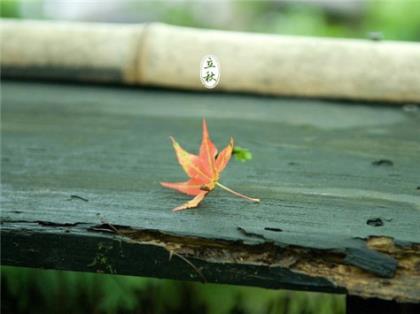 古风对闺蜜个性签名[20句] (闺蜜签名一对小清新)