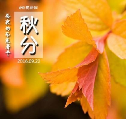 2023护士节经典祝福文案