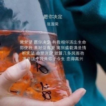 34条正能量的语句