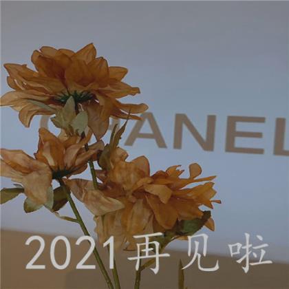 2023年最新正能量早安语