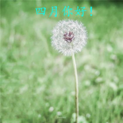 朋友圈中秋节