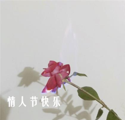 送给师傅结婚祝福语