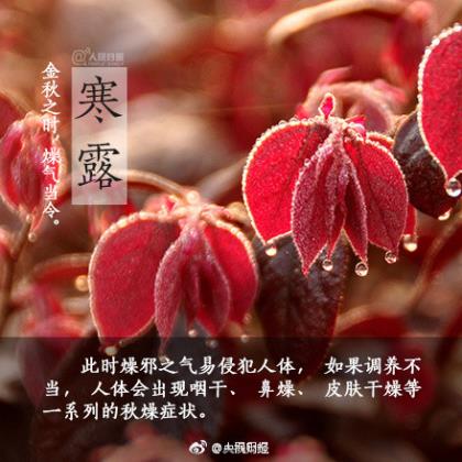 中秋节送祝福语短信