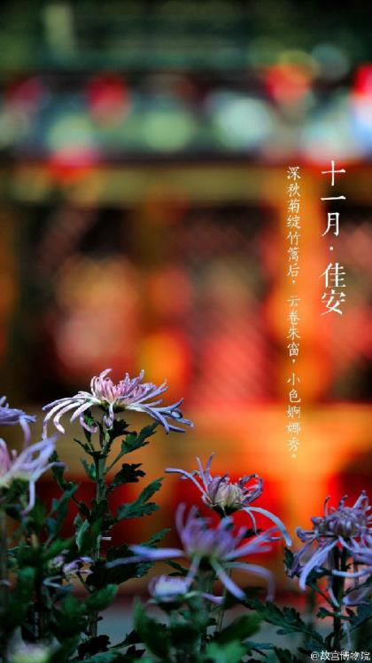 5月12日护士节微信祝福短信