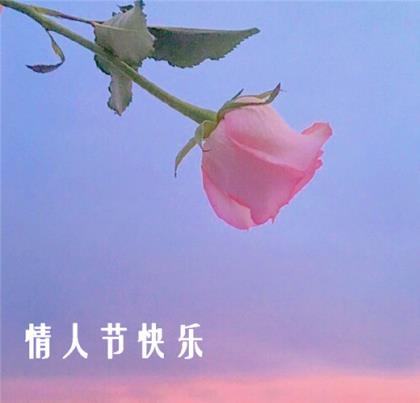 端午节广告短信