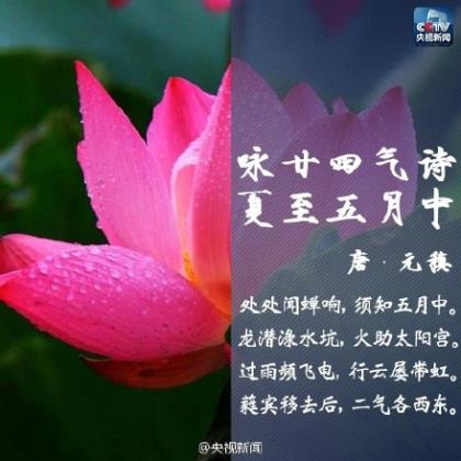 女人对老公心寒的句子