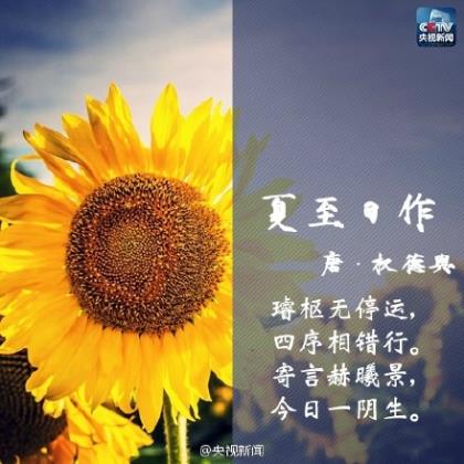 清明节句子