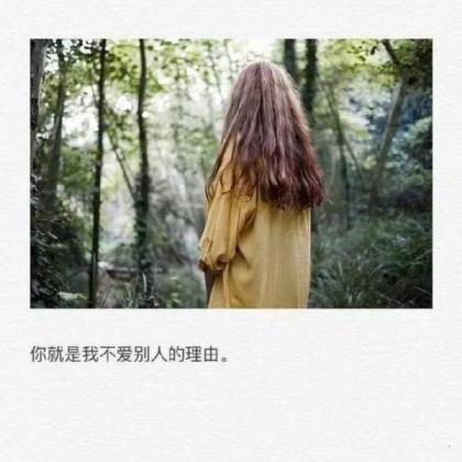 形容老师的优美句子