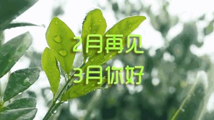 2023正能量晚安语朋友圈