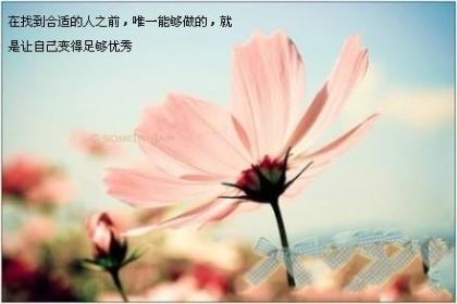 三八妇女节最火抖音文案精选