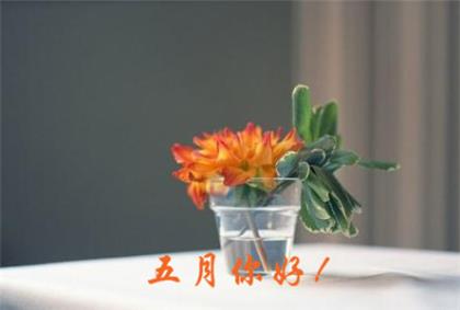 节约粮食谚语书签