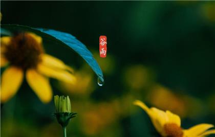 关于二十四节气雨水的诗词