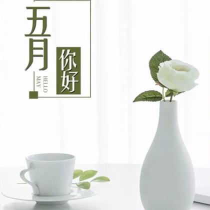 2024茶餐厅光盘行动标语口号