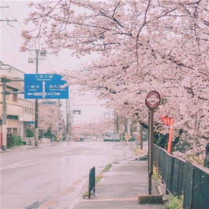 讽刺心机套路深的句子