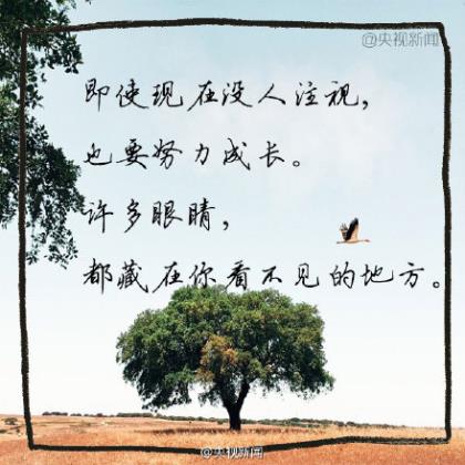 师生毕业留言唯美句子