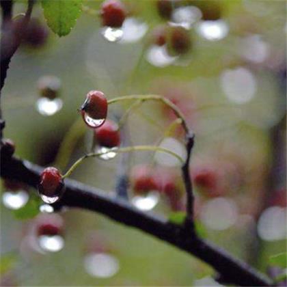 闺蜜生日长文