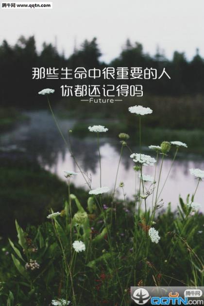 女人要要活得精致