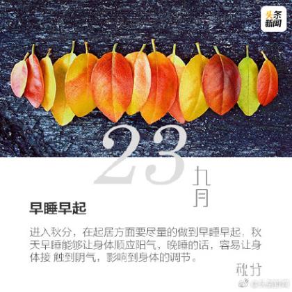 2023年祝福语大全