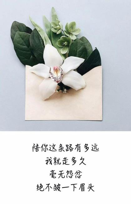 描写感谢老师的句子