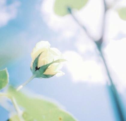 教师节家长祝福短信