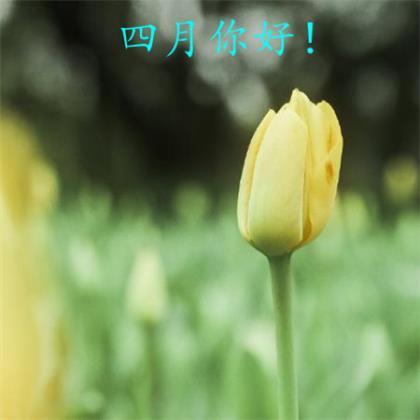 谷雨节气朋友圈说说