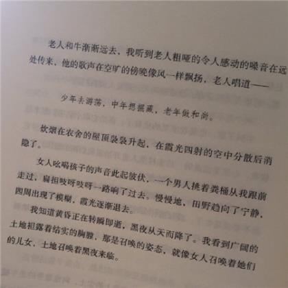 向往爱情唯美句子简短