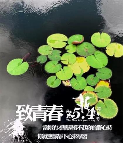 关于中秋节的句子i2字