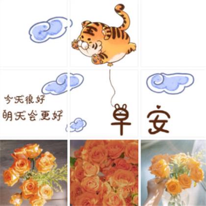 描写青春励志的句子