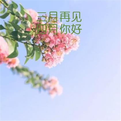 爱格和花火经典语录