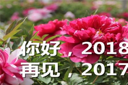 好听的个性签名霸气女（个人签名2022年最新霸气）