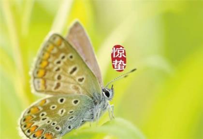 教师节祝福语八个字(教师节简短幽默的祝福语)